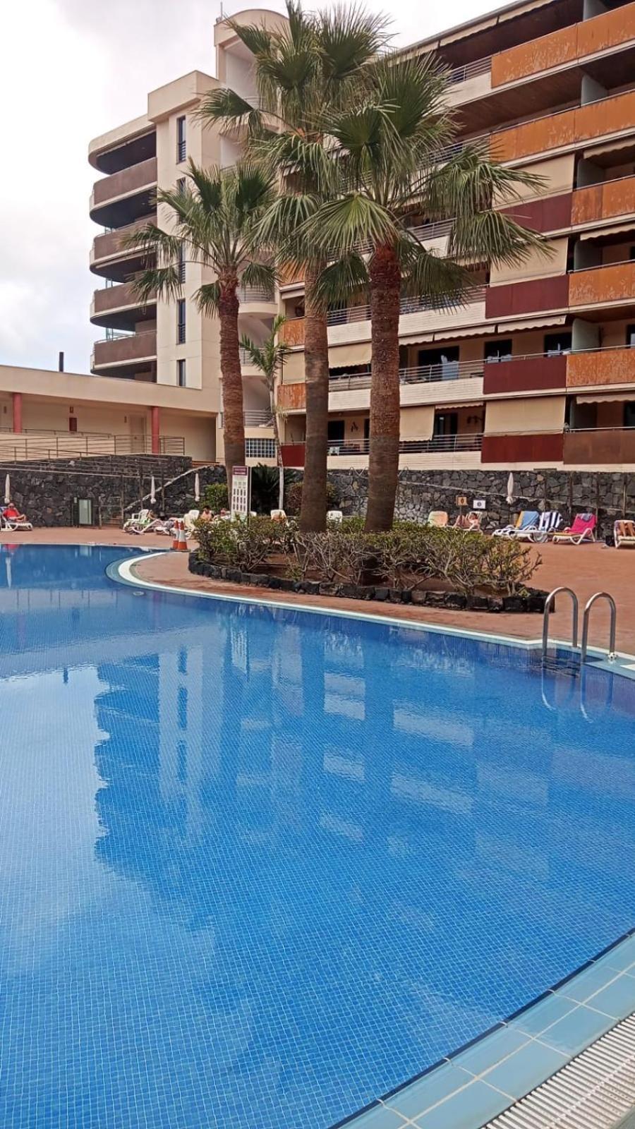 Vistas De Los Gigantes Apartamento 2 Dormitorios Puerto de Santiago  Εξωτερικό φωτογραφία